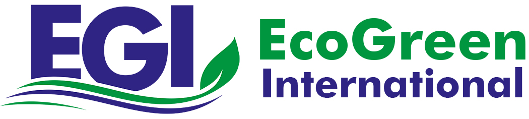 EGI Logo